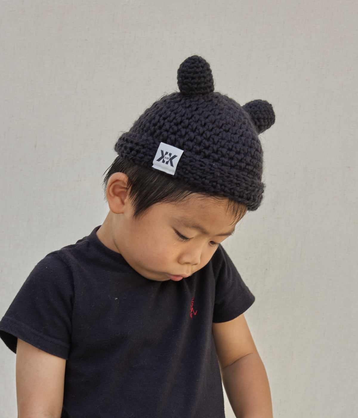 the Teddy - Black Bear